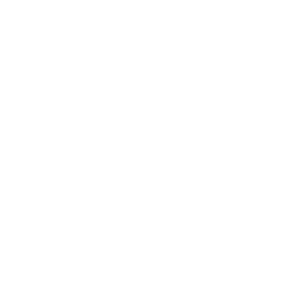 HOTEL DAX