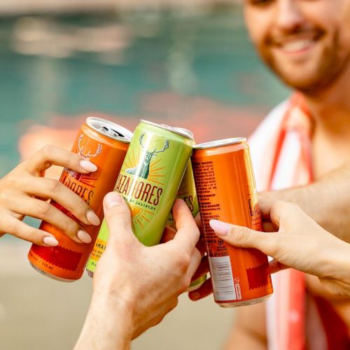 A group cheers with colorful cans raised in a toast by a sunny poolside, showing friends sharing a moment together.